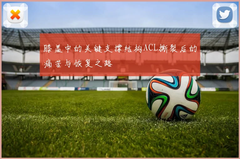 膝盖中的关键支撑结构ACL撕裂后的痛苦与恢复之路