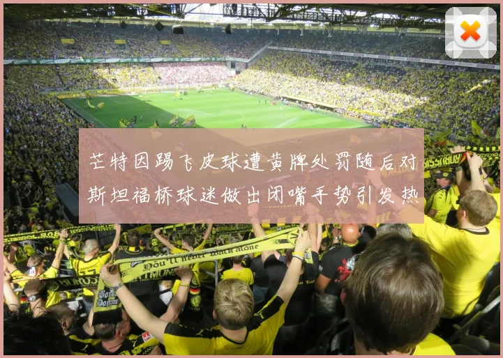 芒特因踢飞皮球遭黄牌处罚随后对斯坦福桥球迷做出闭嘴手势引发热议