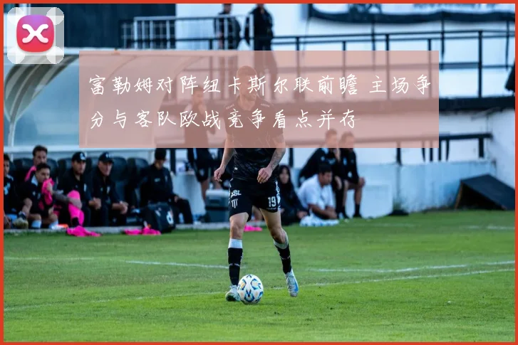 富勒姆对阵纽卡斯尔联前瞻 主场争分与客队欧战竞争看点并存