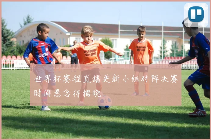 世界杯赛程直播更新小组对阵决赛时间悬念待揭晓